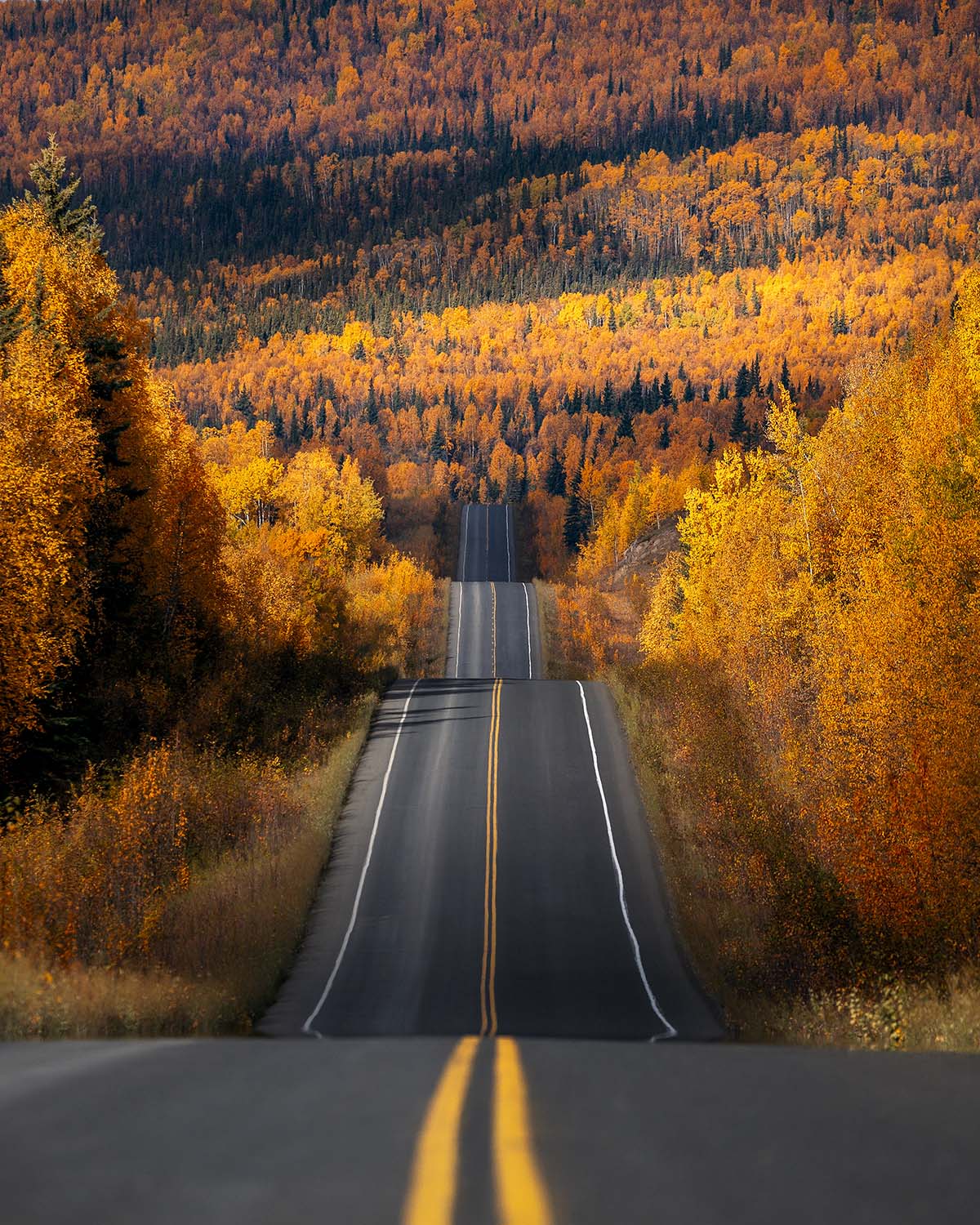 The Road North
