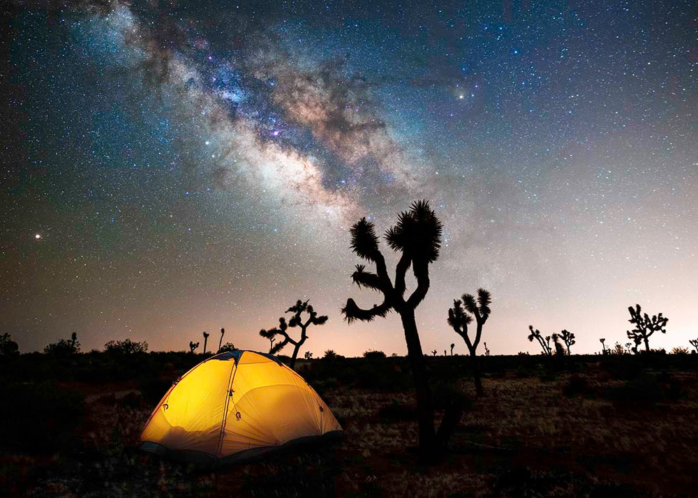 Joshua Tree