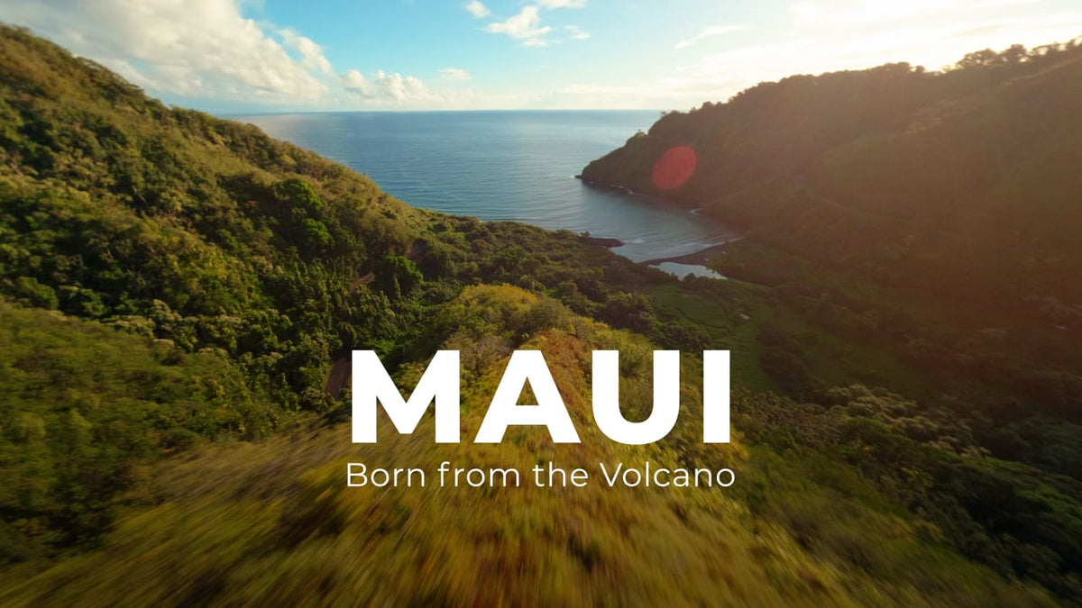 Born from the Volcano