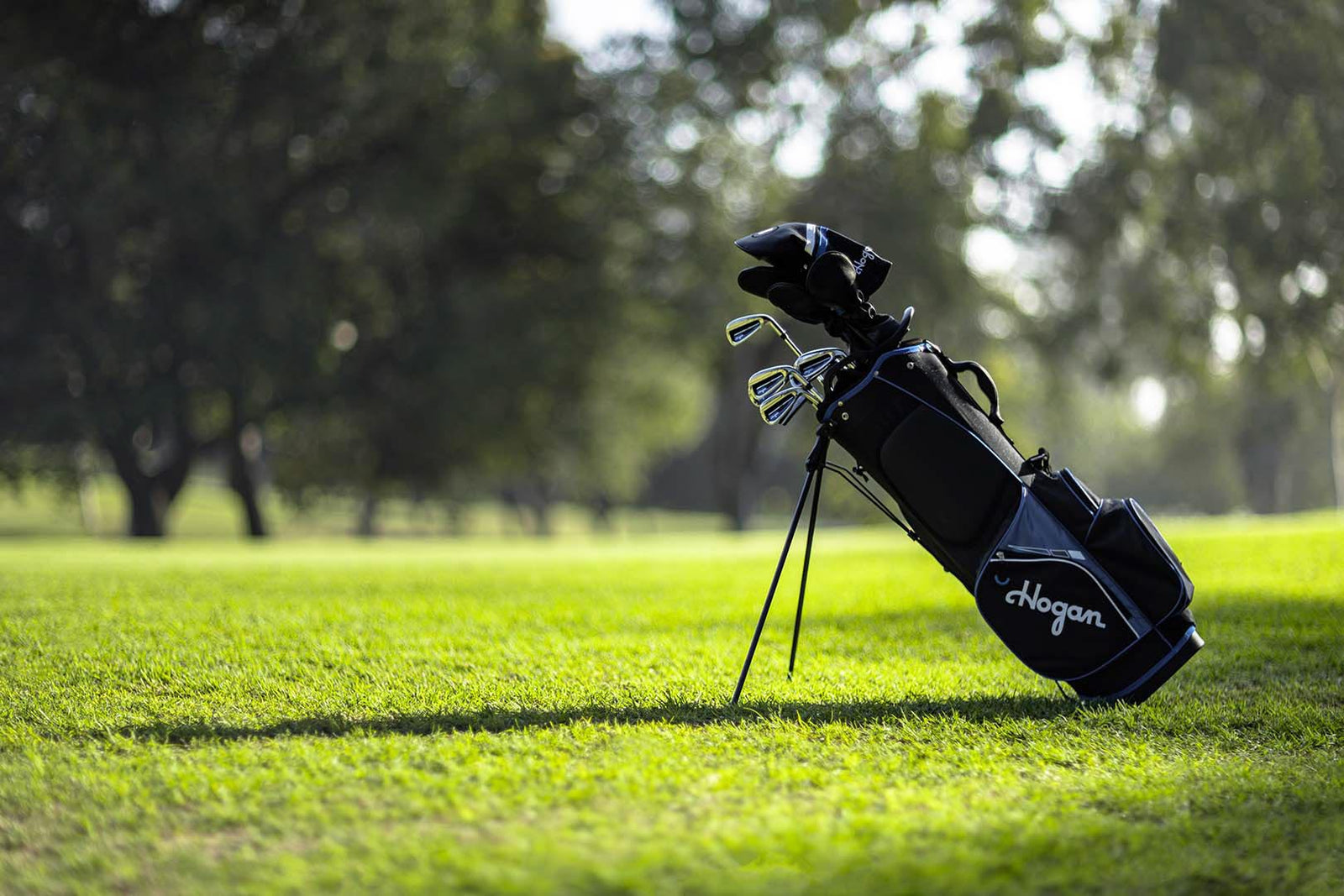 Black and blue Ben Hogan stand bag on the fairway, backlit by trees, by Niaz Uddin