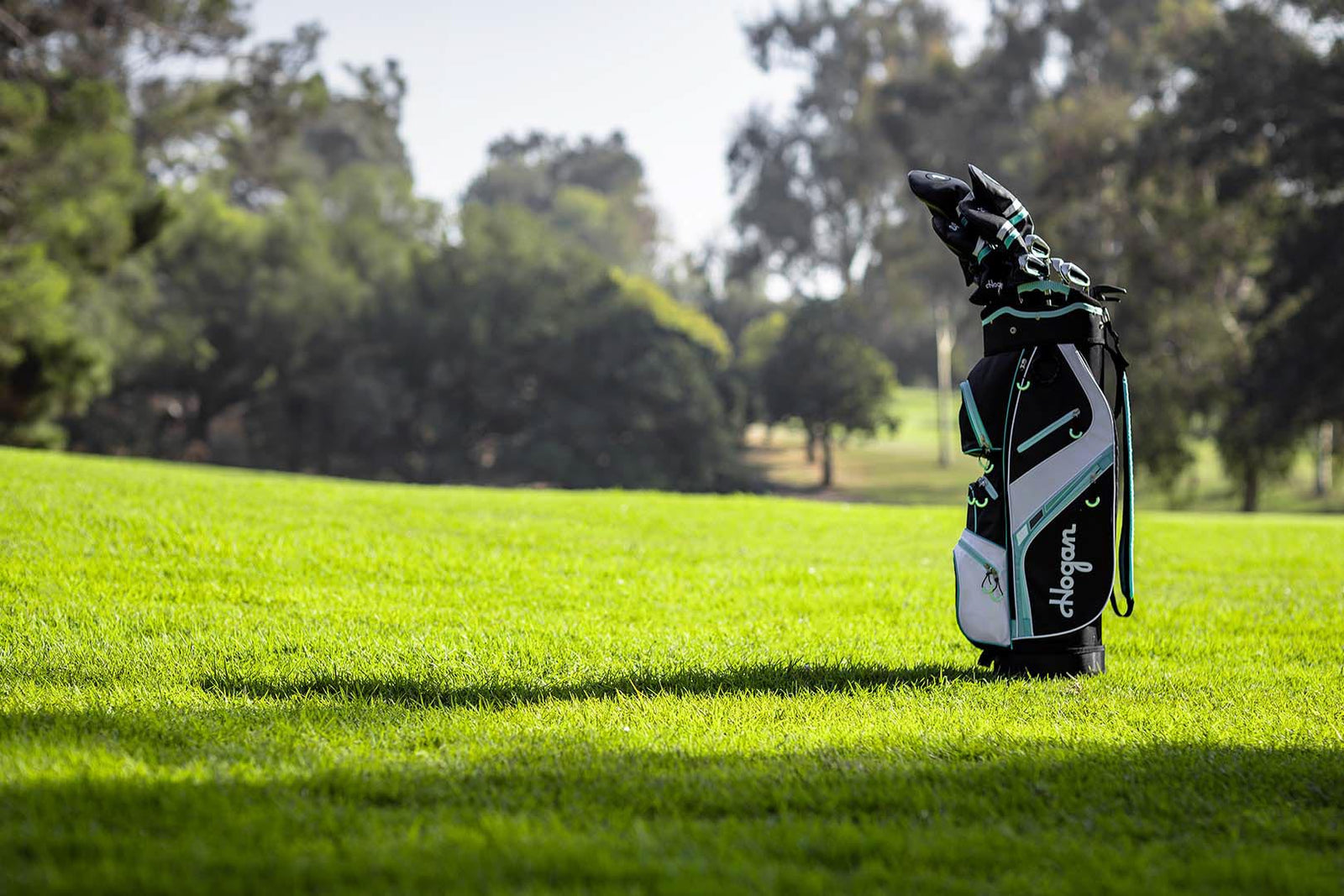Teal and white Ben Hogan stand bag on sunlit grass, by Niaz Uddin