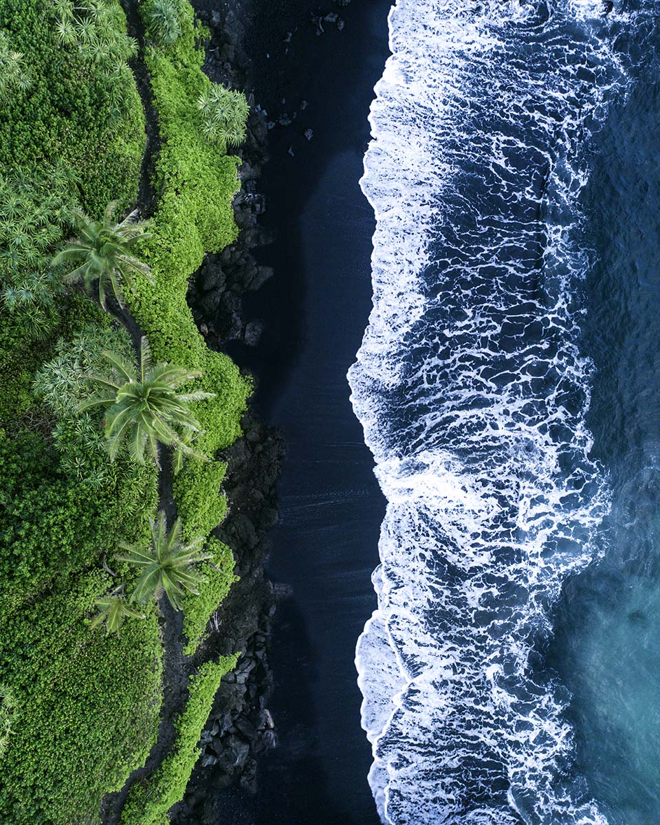 Top-down aerial of a black sand beach lined with palm trees in Hawaii