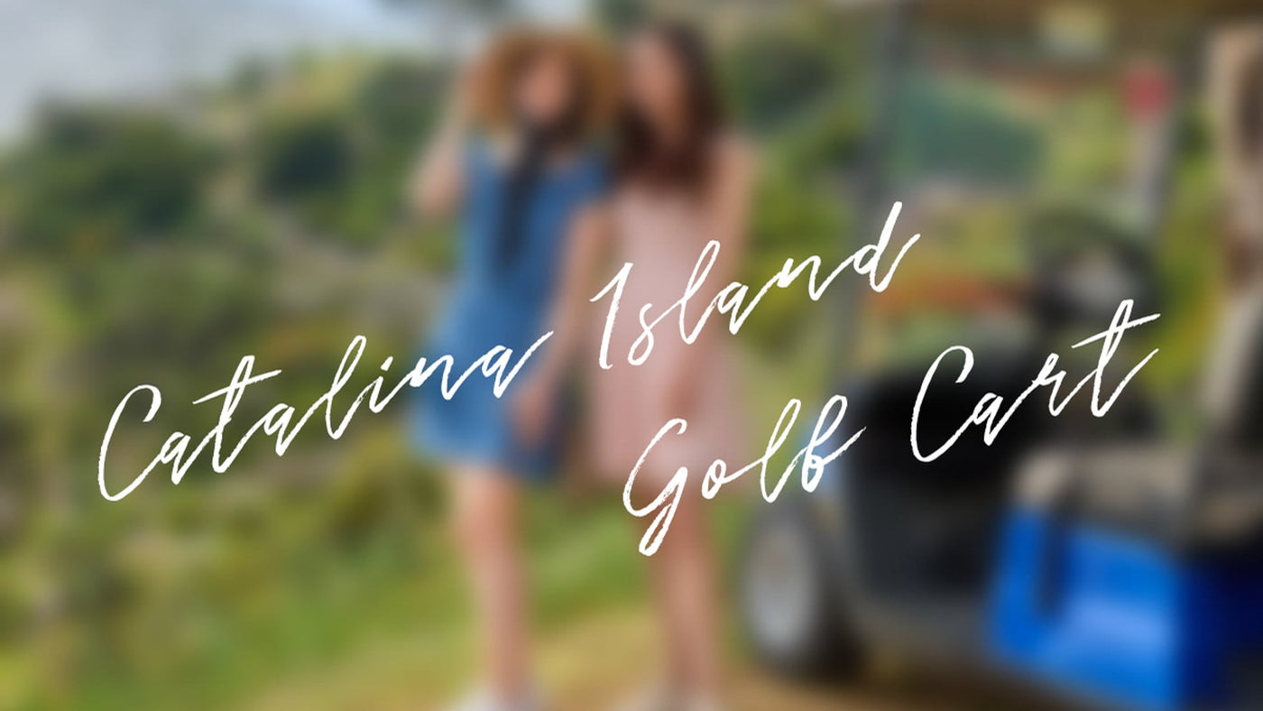 Catalina | A Day in Avalon