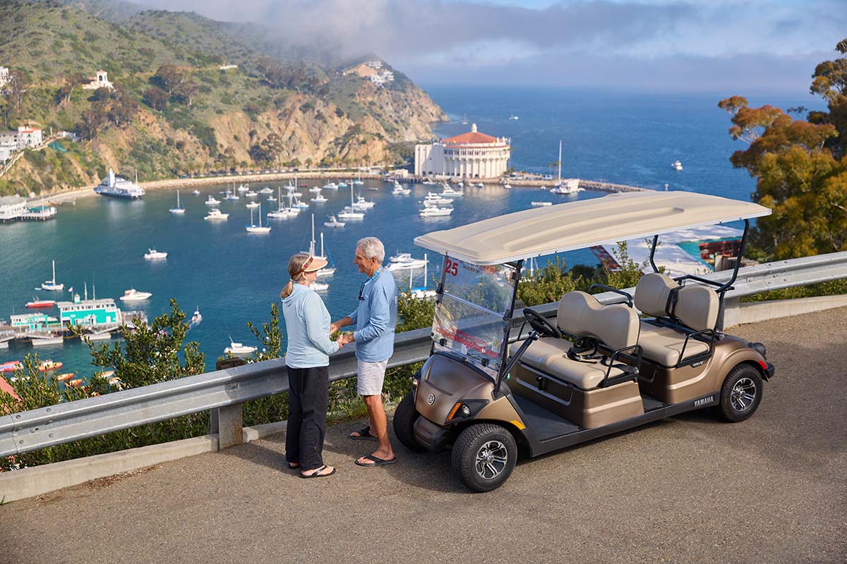 Mature couple talking beside a bronze golf cart overlooking Avalon harbor and the Catalina Casino, by Niaz Uddin