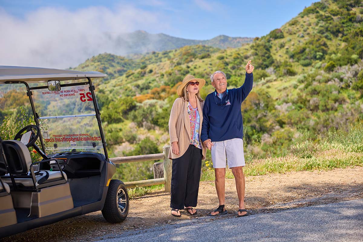 Mature couple holding hands beside a bronze golf cart on an interior road with green Catalina hills behind, by Niaz Uddin