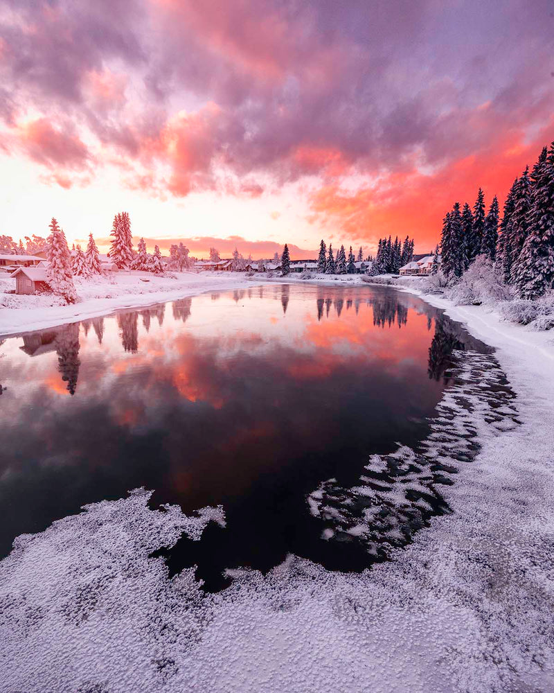 Frozen Fairbanks