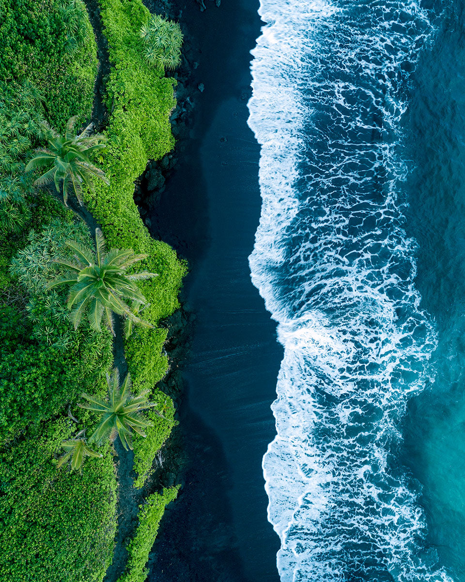 Top-down aerial of a Maui black sand beach where green jungle meets white surf, by Niaz Uddin