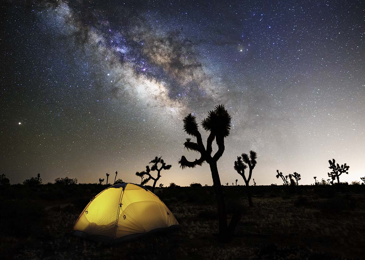 Joshua Tree