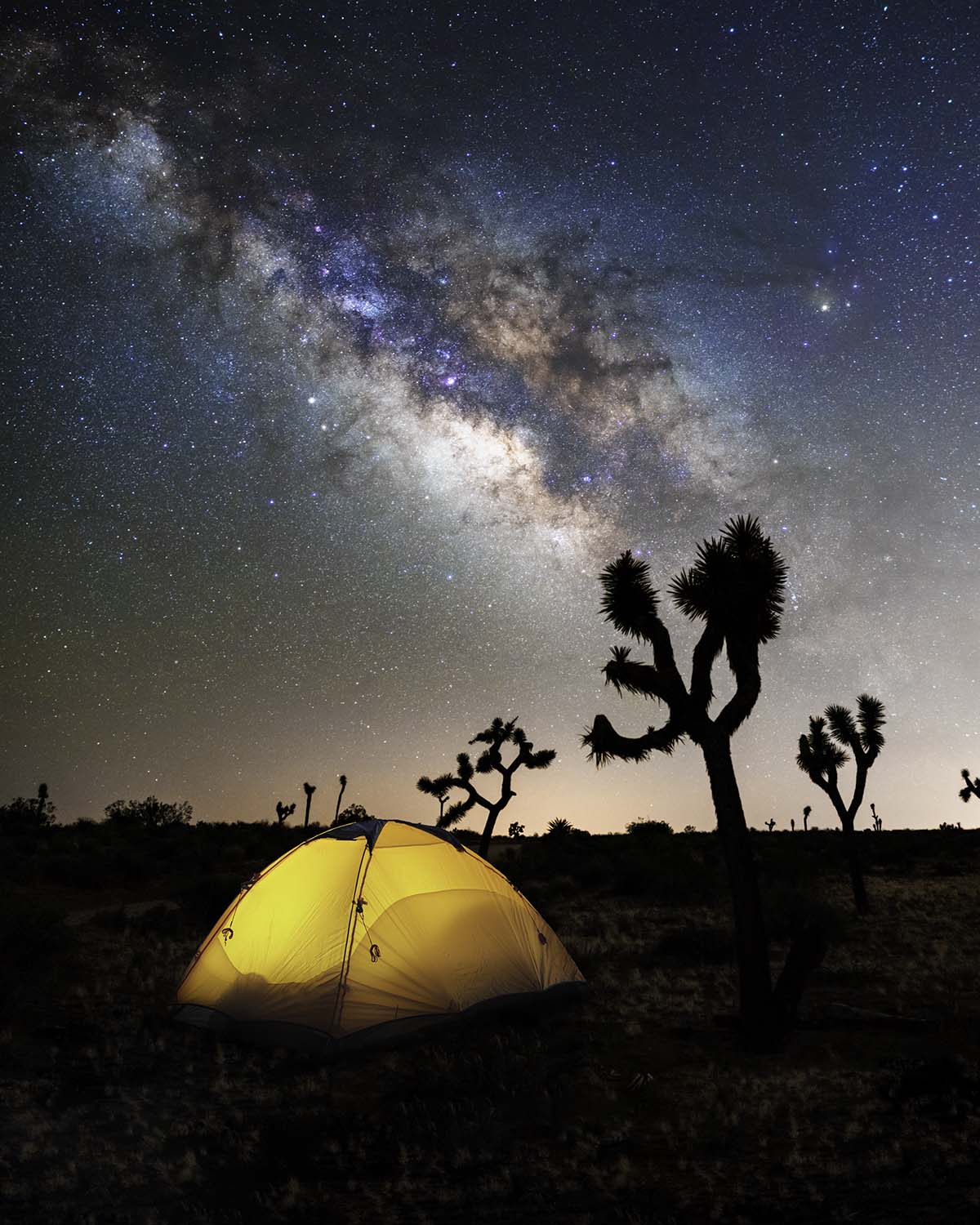 The Milky Way rising over a glowing yellow tent and silhouetted Joshua trees at night in the California desert. Fine art print by Niaz Uddin.