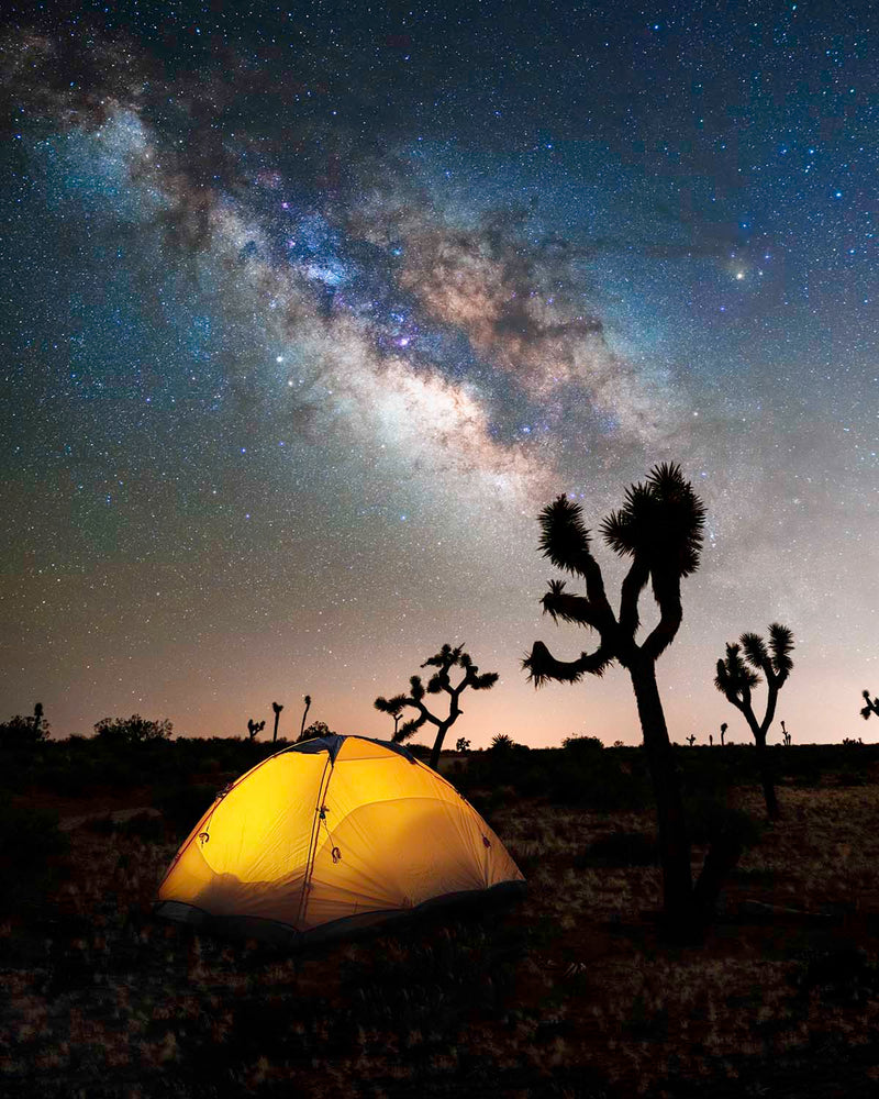 Joshua Tree