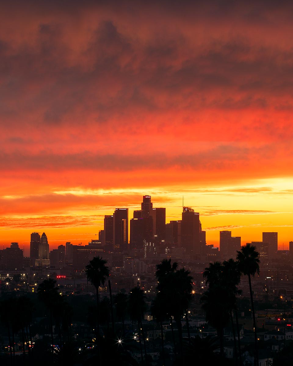 The downtown Los Angeles skyline in silhouette against a fiery red and gold sunset, with palm trees in the foreground.