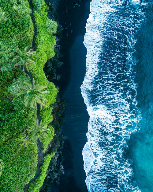 Aerial top-down view of a black sand beach at the end of the Road to Hana, palms and rainforest meeting white surf, a Maui fine art print by Niaz Uddin.