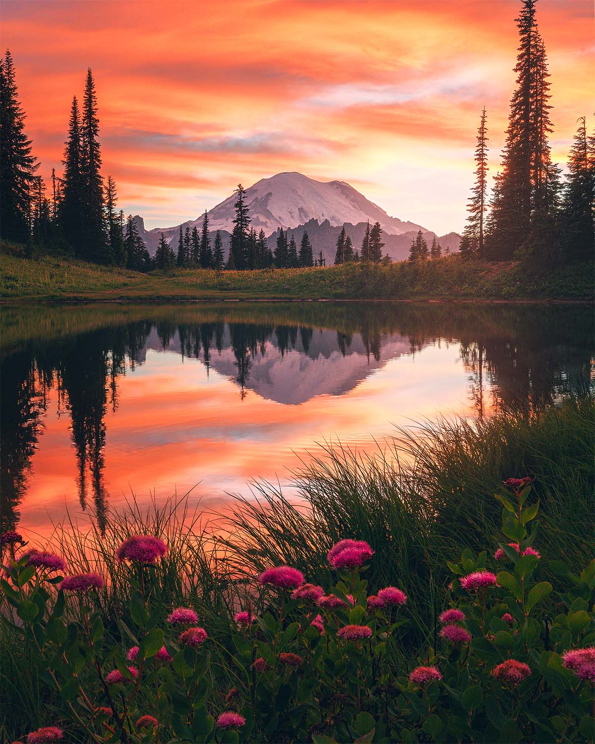 Mount Rainier reflected in Tipsoo Lake at sunrise with a fiery sky and pink wildflowers in the foreground, a Washington fine art print by Niaz Uddin.