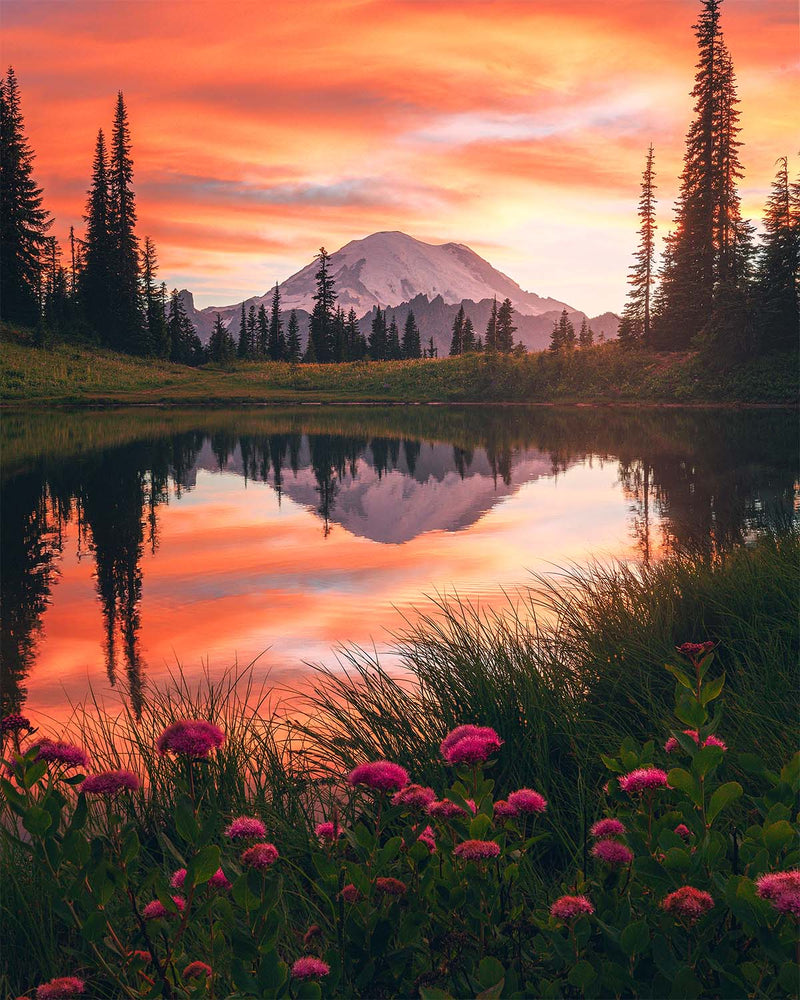 Mount Rainier