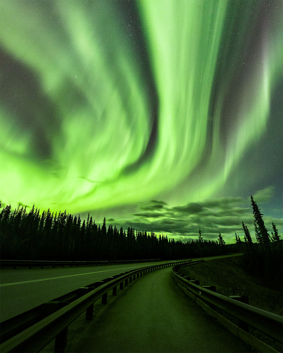 Denali Aurora