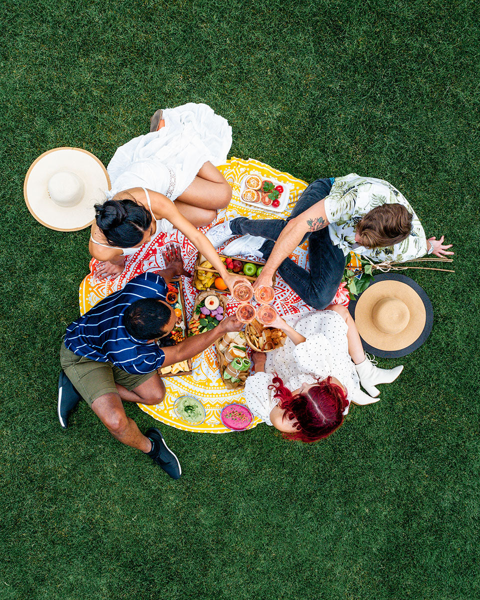 Aerial of friends toasting over a picnic on the lawn at Renaissance Esmeralda Resort & Spa in Indian Wells