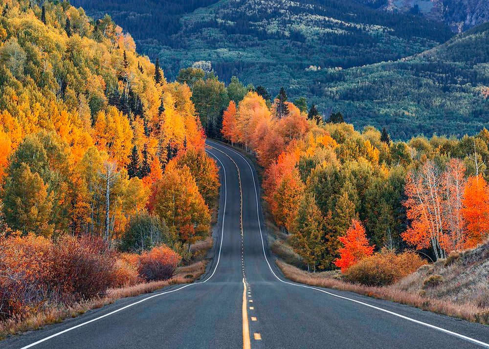 Telluride