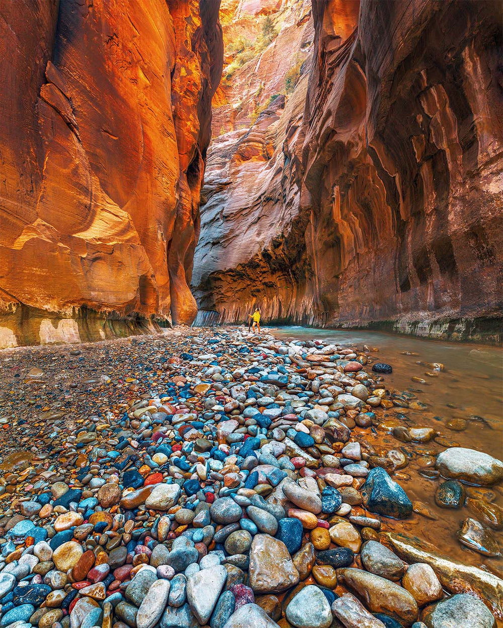 Zion Narrows